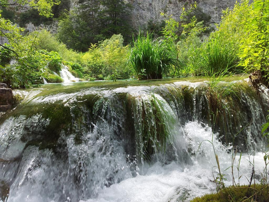 Plitvička Jezera Guest House Family Varda Plitvice Lakes מראה חיצוני תמונה